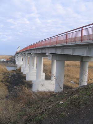 Общий вид моста